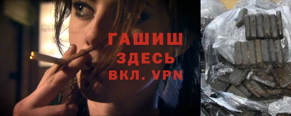 индика Губаха