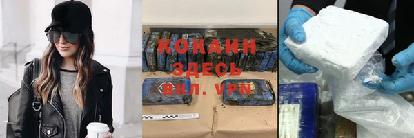 индика Губаха