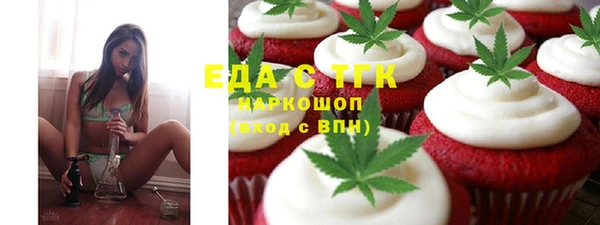 индика Дегтярск