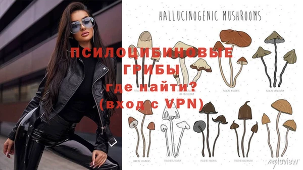 ALPHA PVP Грязи