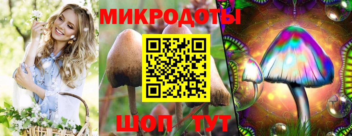 Псилоцибиновые грибы GOLDEN TEACHER  Вход с VPN  Похвистнево  Псилоцибиновые грибы GOLDEN TEACHER 